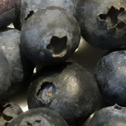 Heidelbeeren