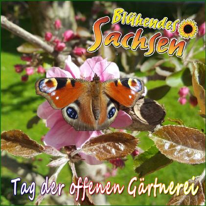 Tag der offenen G&auml;rtnerei